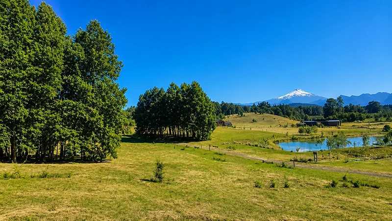 Campo y parcela